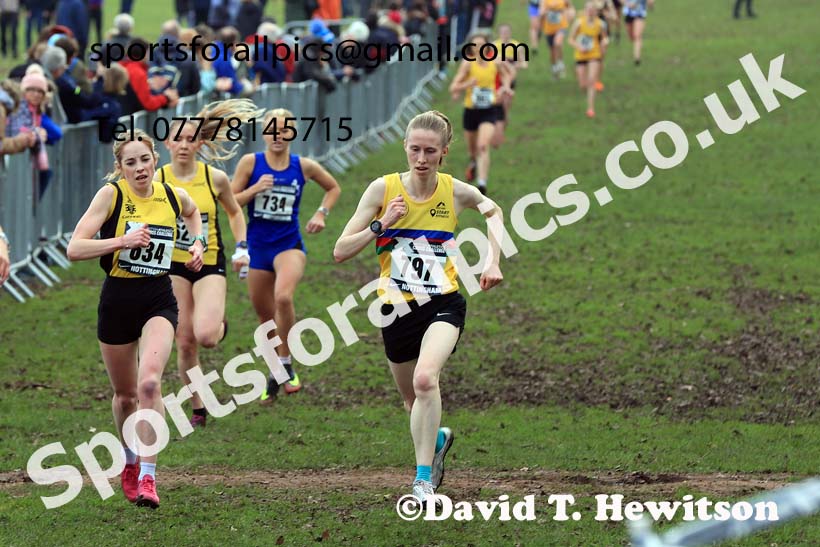 Senior Women, 2024 CAU Inter Counties Cross Country Champs., Wollaton Park, Nottingham. Photo: David T. Hewitson/Sports for All Pics